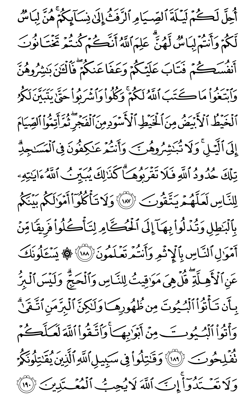 Mushaf page 29