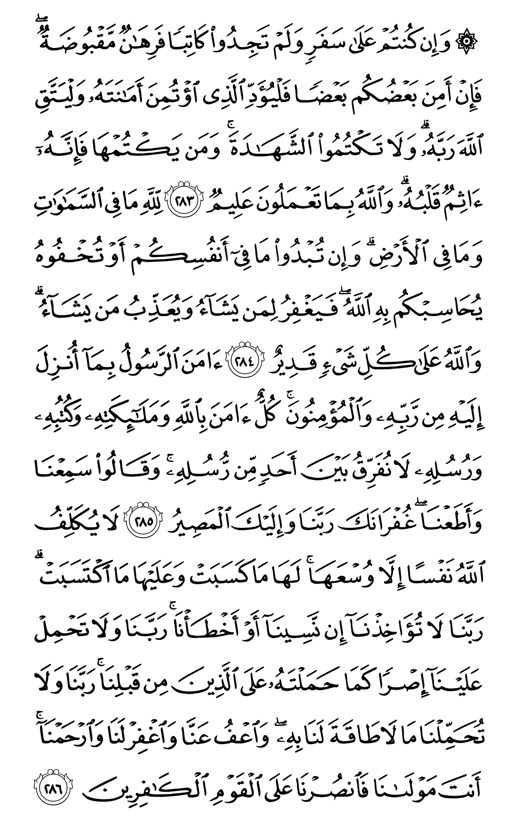 Mushaf page 49