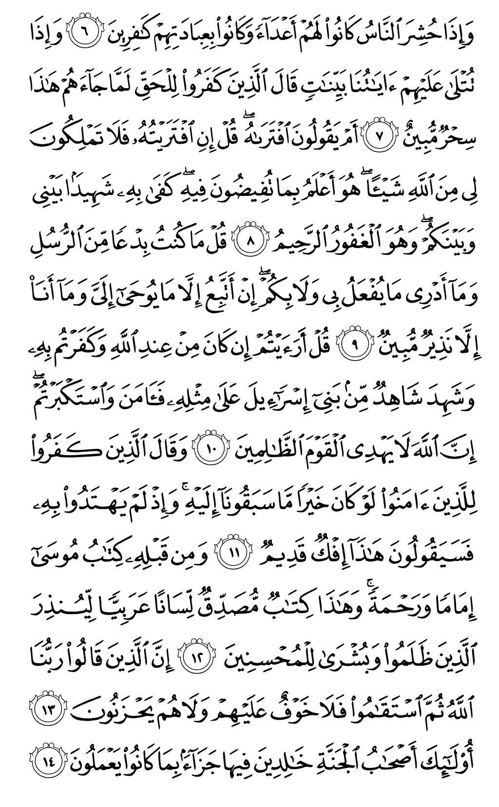 Mushaf page 503