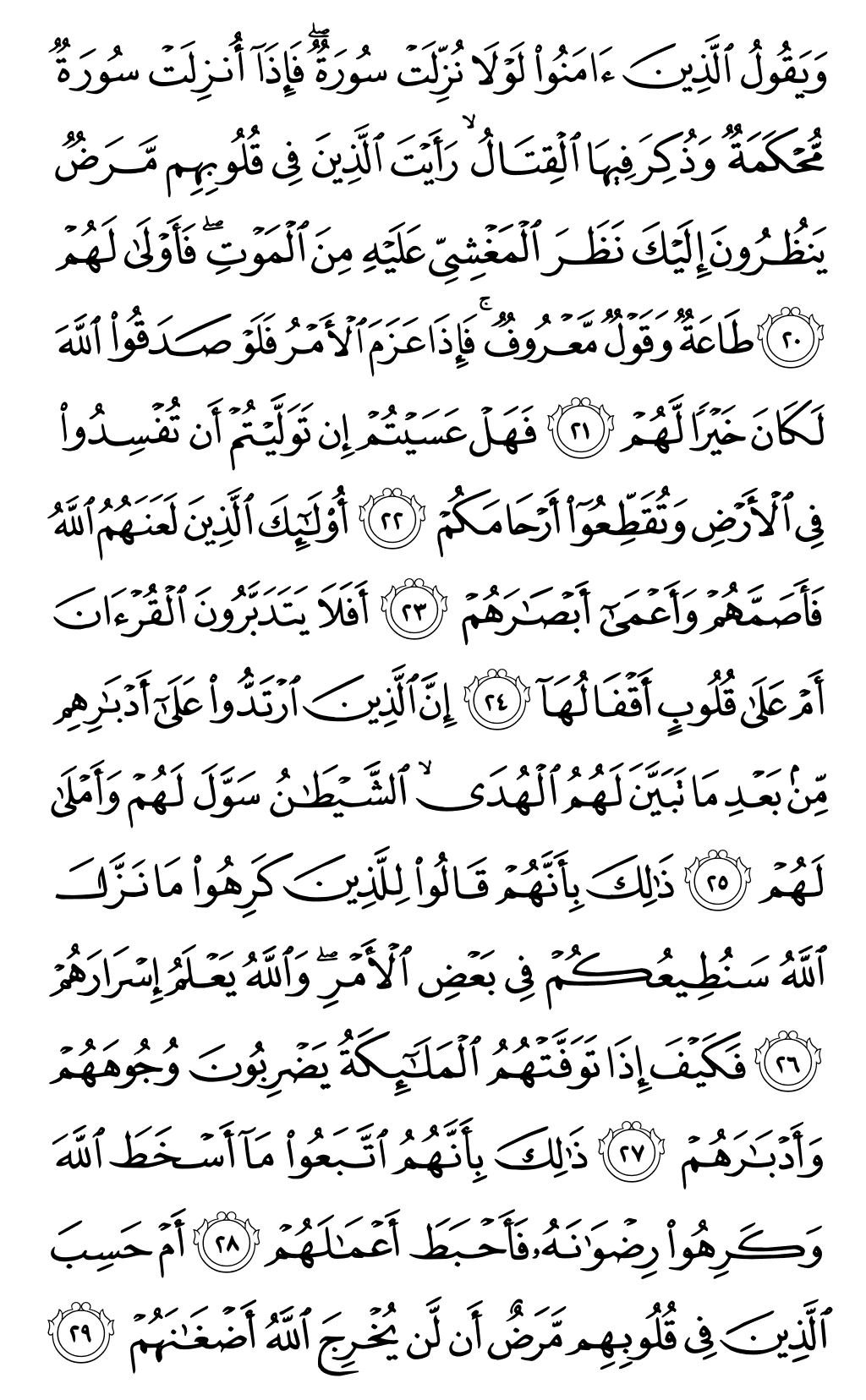 Mushaf page 509