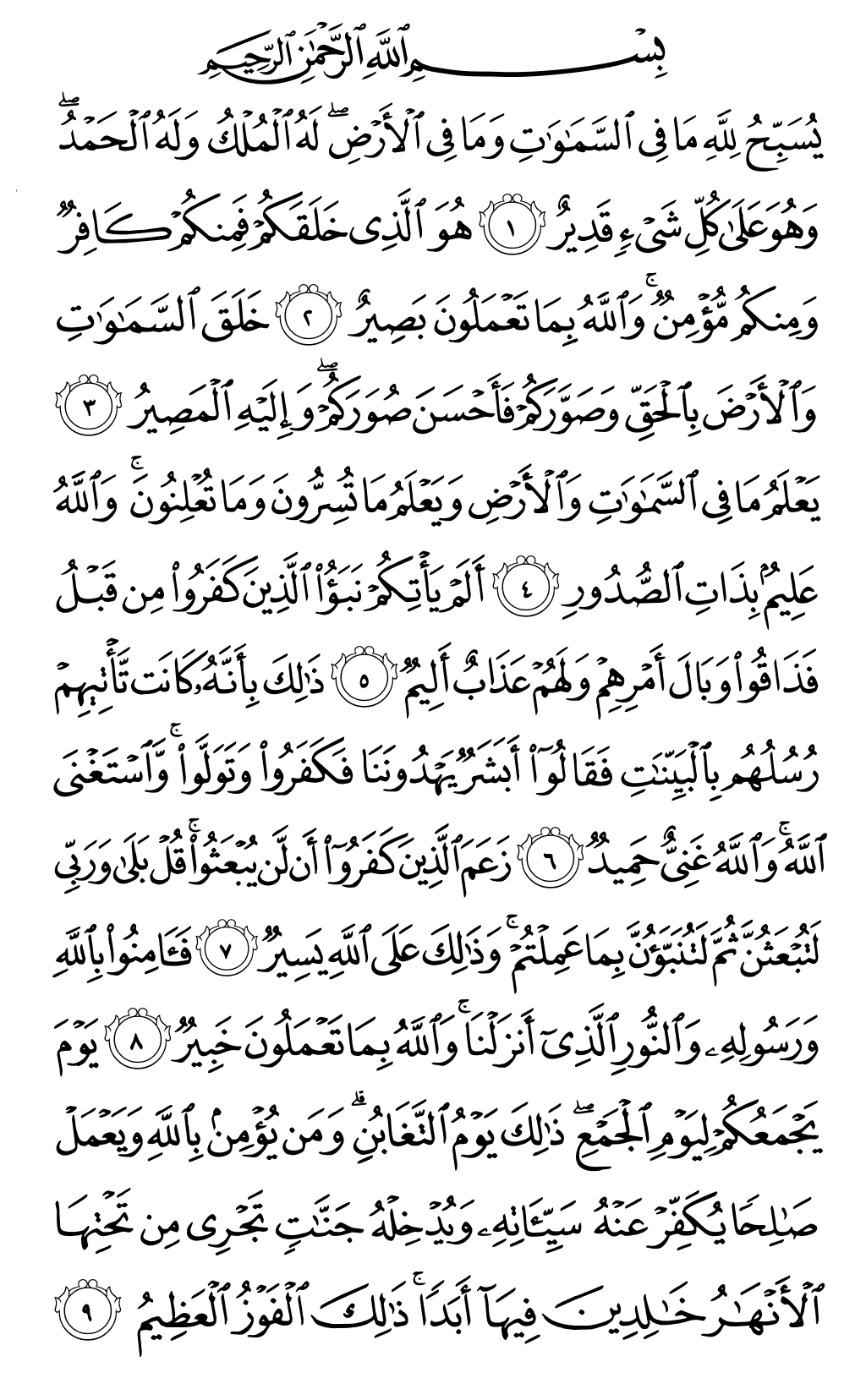 Mushaf page 556