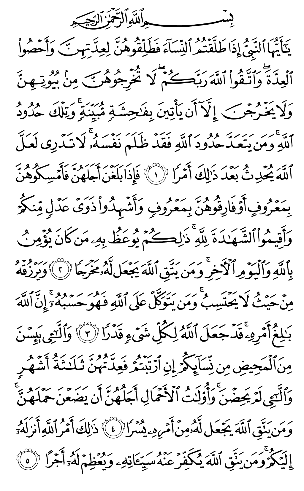 Mushaf page 558