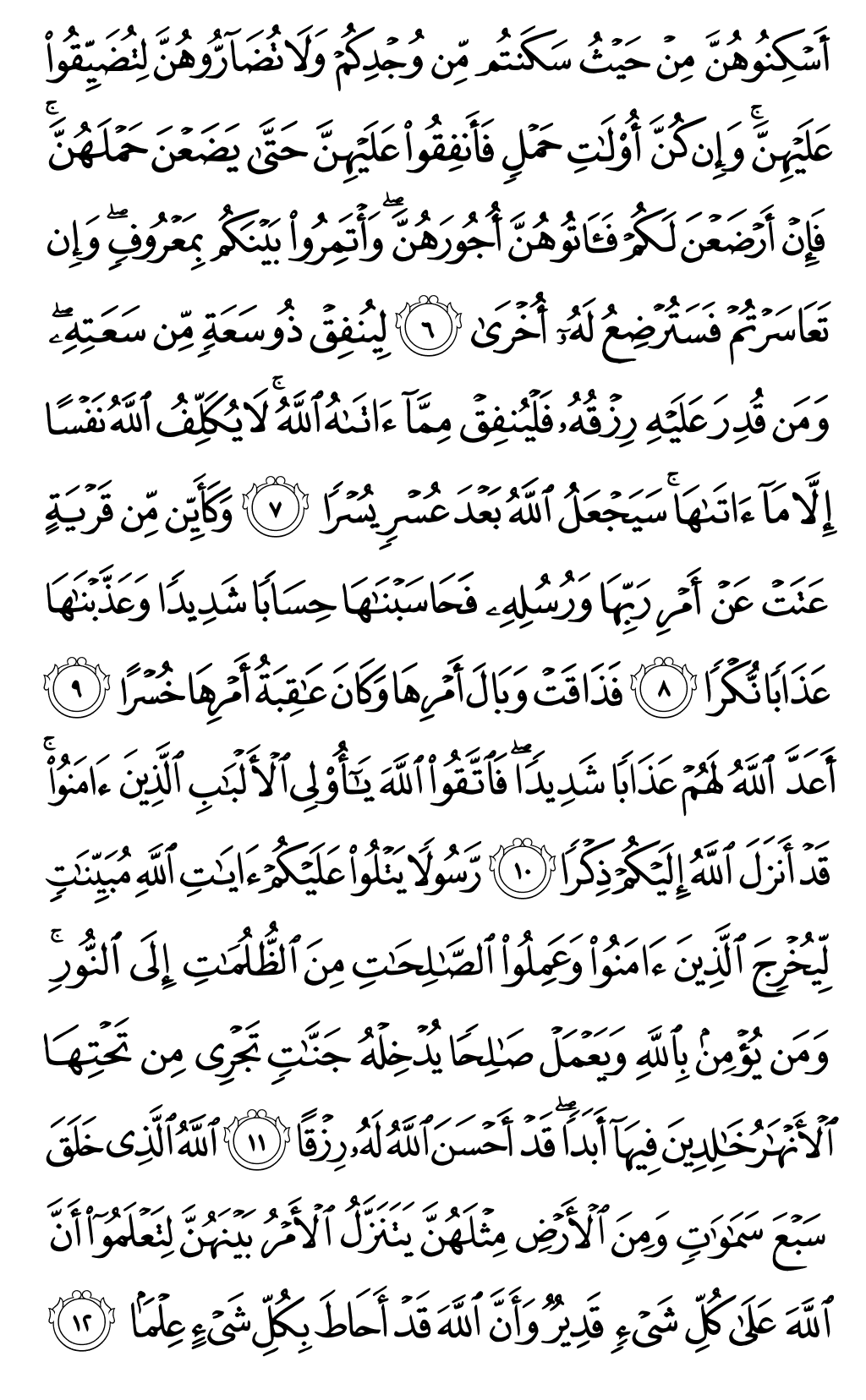 Mushaf page 559