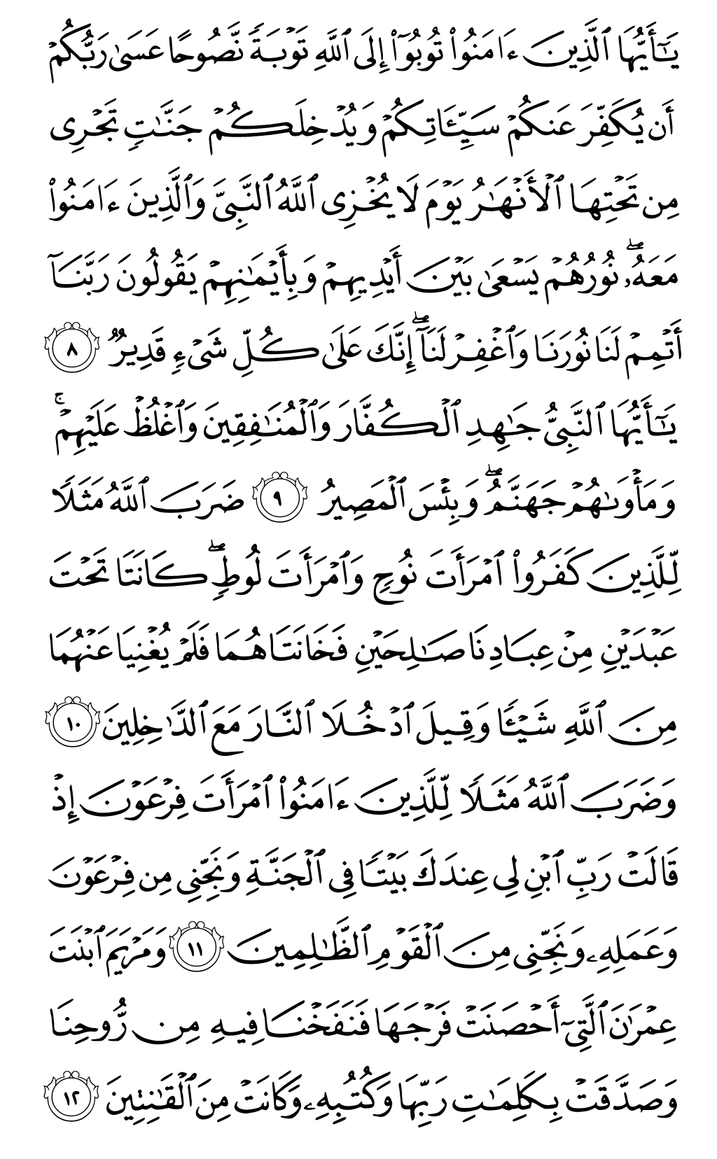 Mushaf page 561