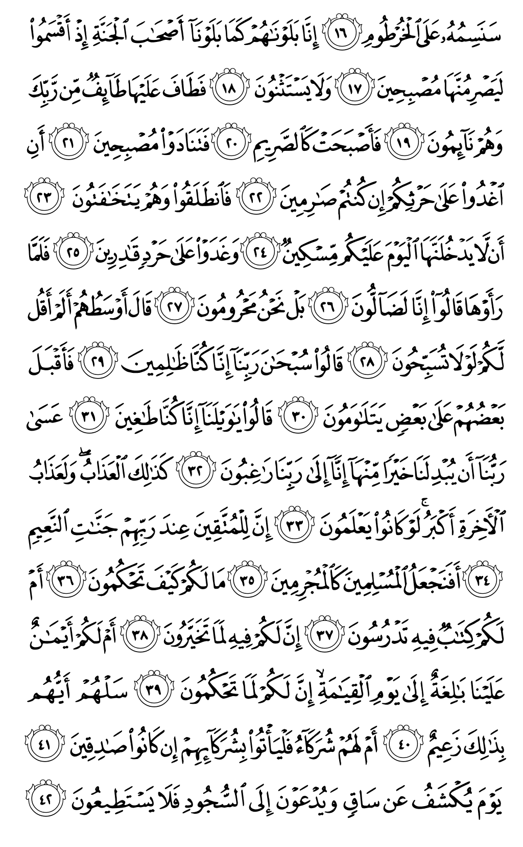 Mushaf page 565