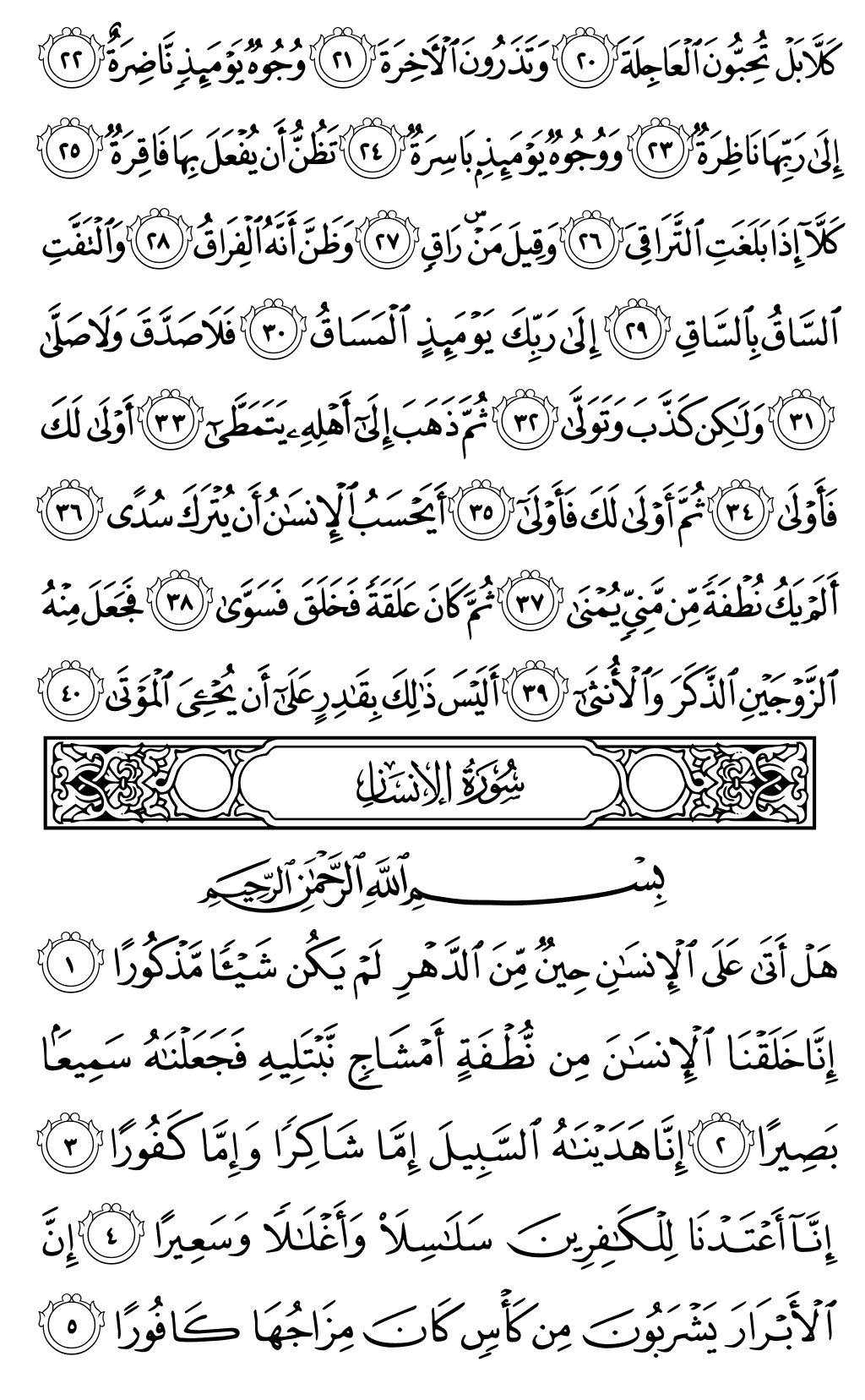 Mushaf page 578